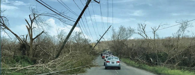 Broken Powerlines after Storm